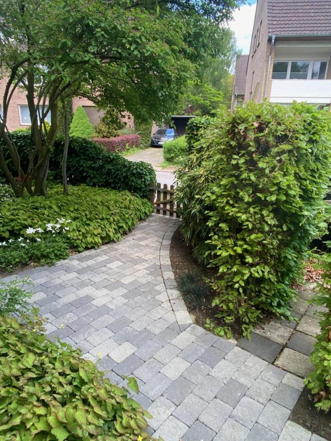 Komfort-apartment Birke Appartement *